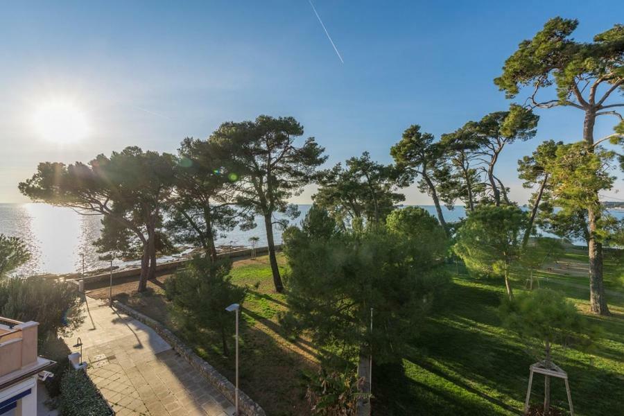 Apartment Hannah Novigrad Istria المظهر الخارجي الصورة