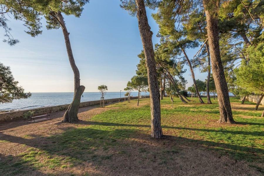 Apartment Hannah Novigrad Istria المظهر الخارجي الصورة